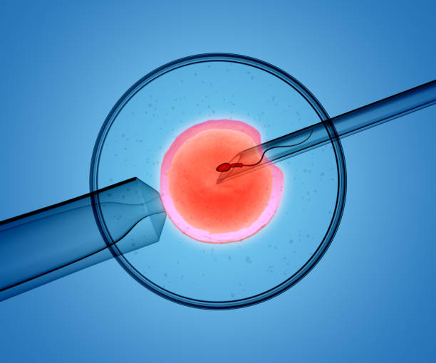 hong kong ivf services